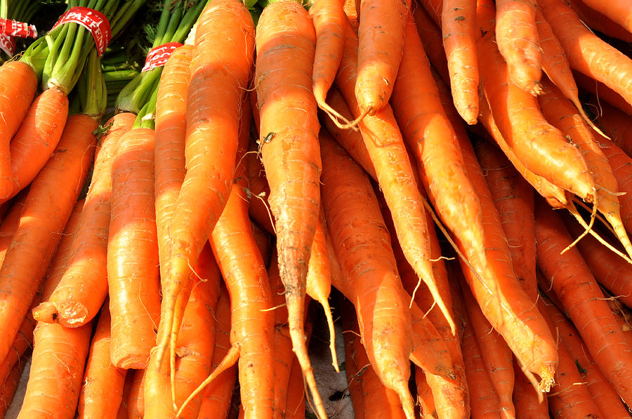 Carrots Photograph by Diane Lent