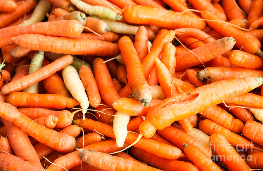 Carrots Photograph by Henrik Lehnerer
