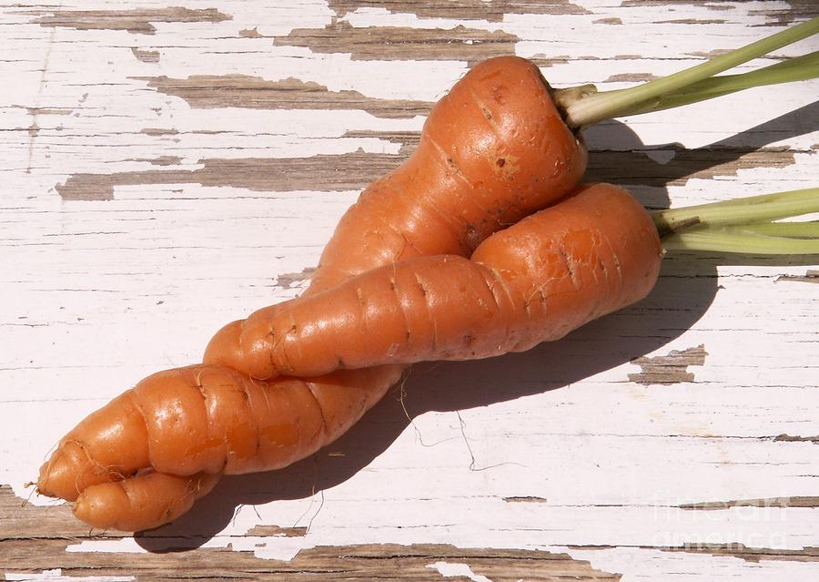 Carrots in Love Photograph by Valerie Reeves