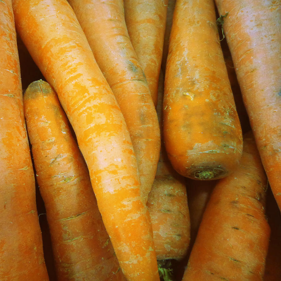 Carrots Photograph by Joseph Skompski