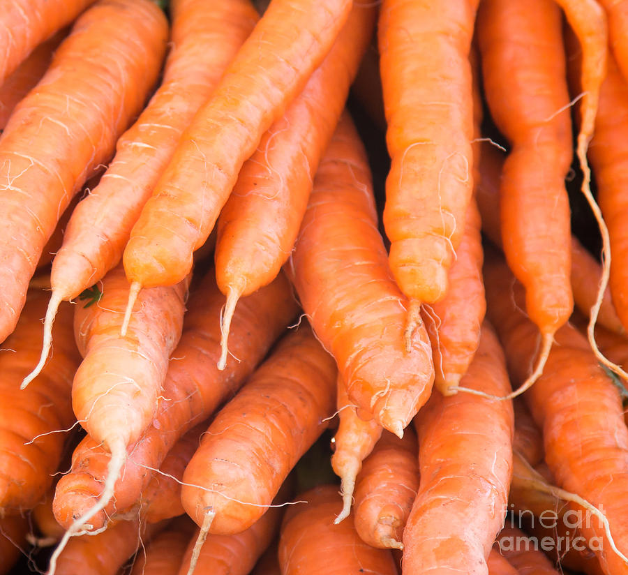 Carrots Photograph by Rebecca Cozart