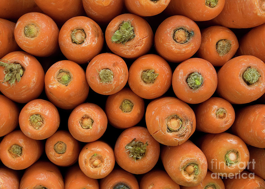 Carrot Photograph - Carrots by Rick Piper Photography