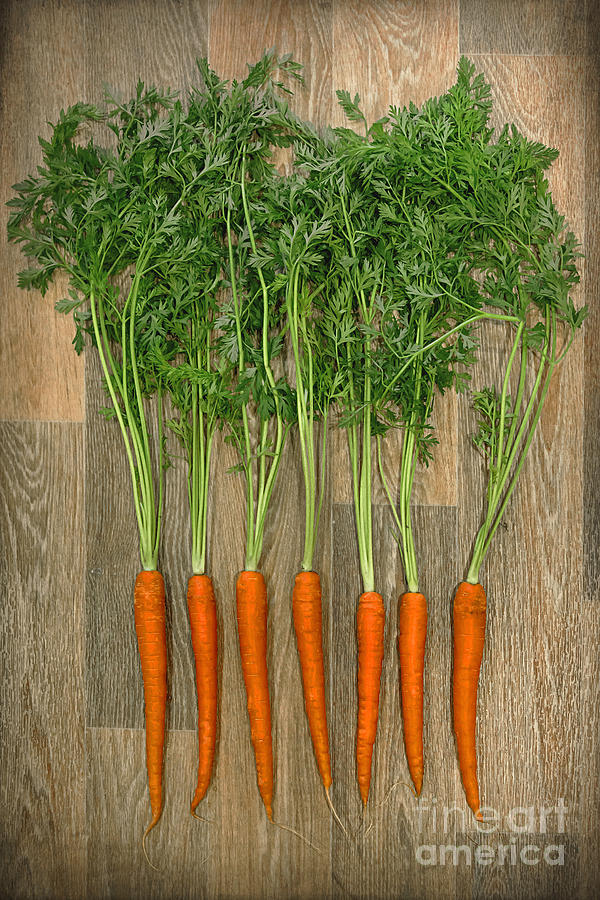 Carrot Photograph - Carrots by Svetlana Sewell