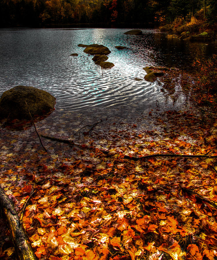 Cary Lake in the Adirondacks #3 Photograph by David Patterson