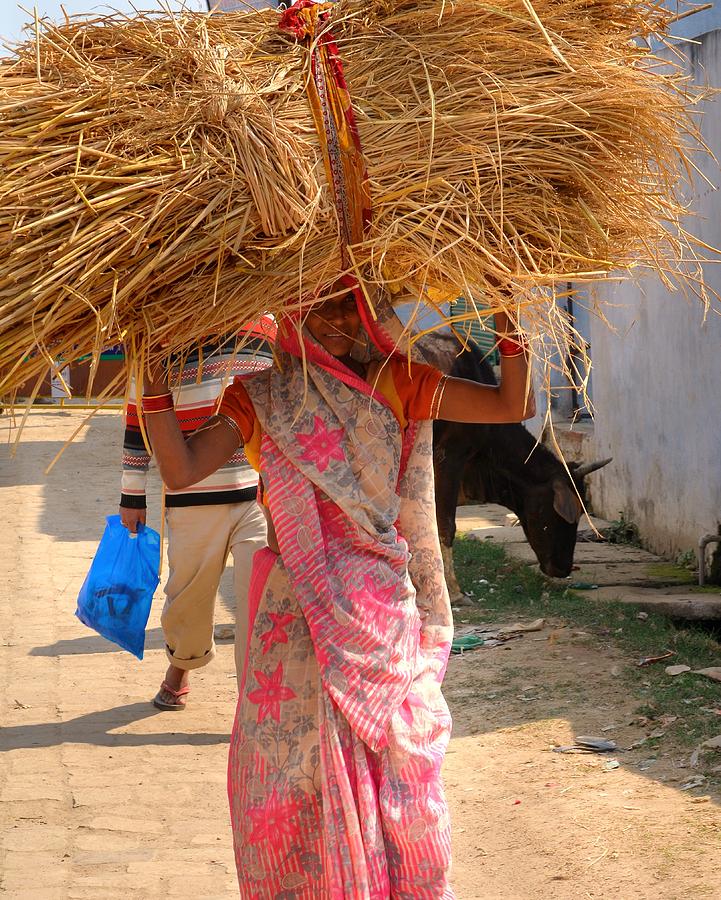 Carrying the Hay - Allahabad India Photograph by Kim Bemis