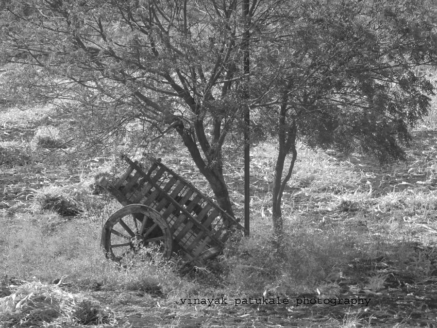 Landscape Photograph - Cart by Vinayak Patukale Landscape Photograph - Cart by Vinayak Patukale