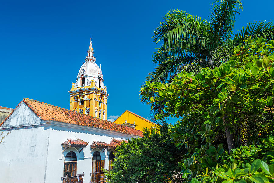 Cartagena Cathedral And Palm Tree Photograph