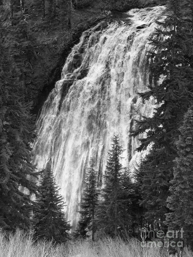 Carter Falls at Mt Rainer NP Photograph by Scott Cameron