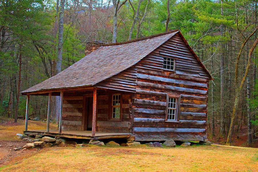 Carter Shields Cabin 2 Photograph by Wild Expressions Photography ...