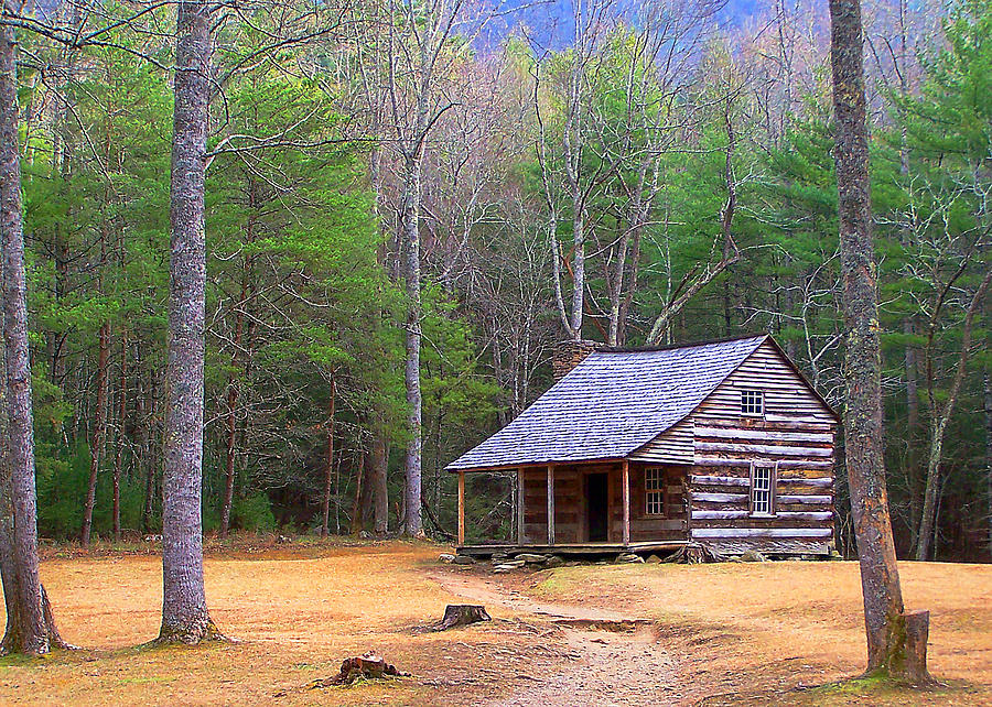 Carter Shield's Cabin II Photograph by Jim Finch - Fine Art America