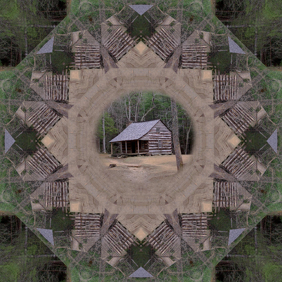 Carter Shields Cabin In Symmetry Photograph