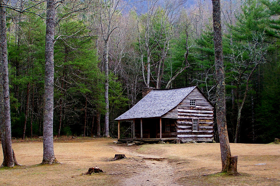 Carter Shields' Cabin Photograph by Jim Finch - Pixels