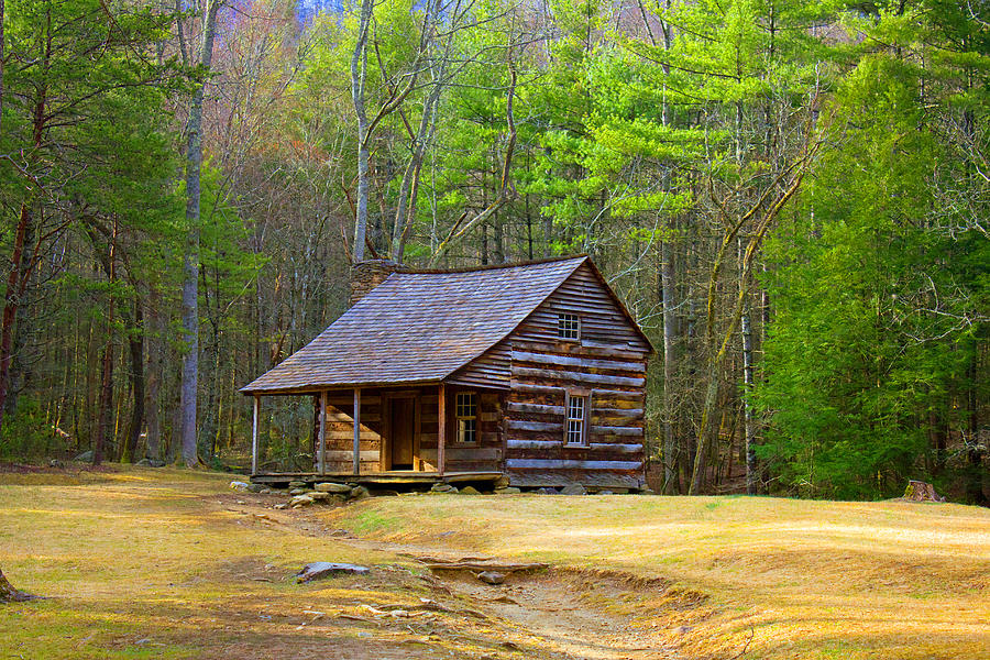 Carter Shields Cabin Photograph by Wild Expressions Photography - Fine ...