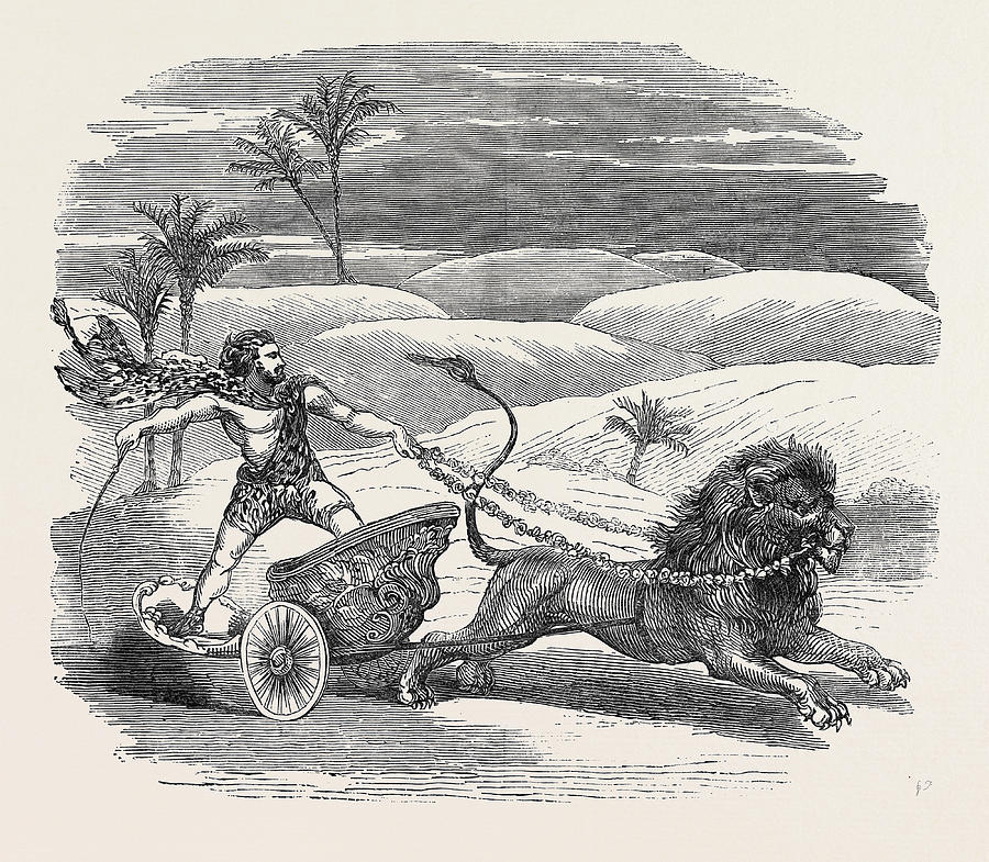 Vintage Drawing - Carters Lion Chariot Feat by English School