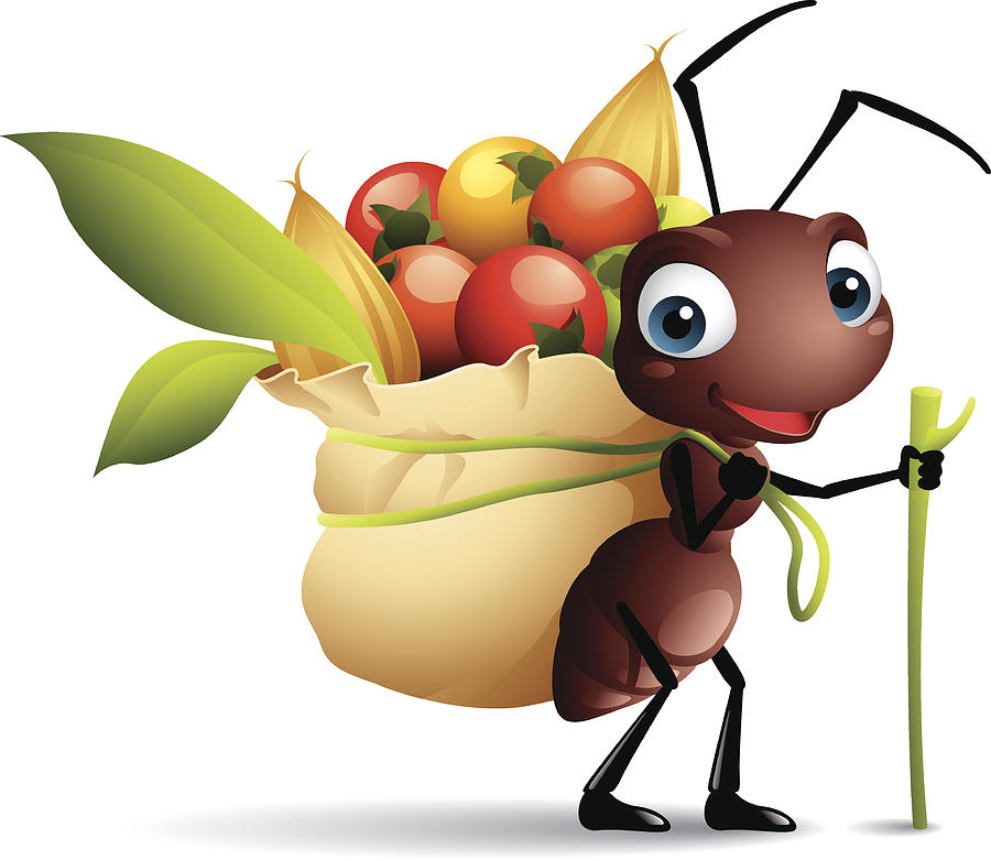Cartoon graphics of ant with sack full of berries Drawing by Nokee