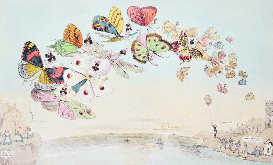 Butterfly Drawing - Cartoon satirising the encouragement of unmarried women to go to Australia by English School