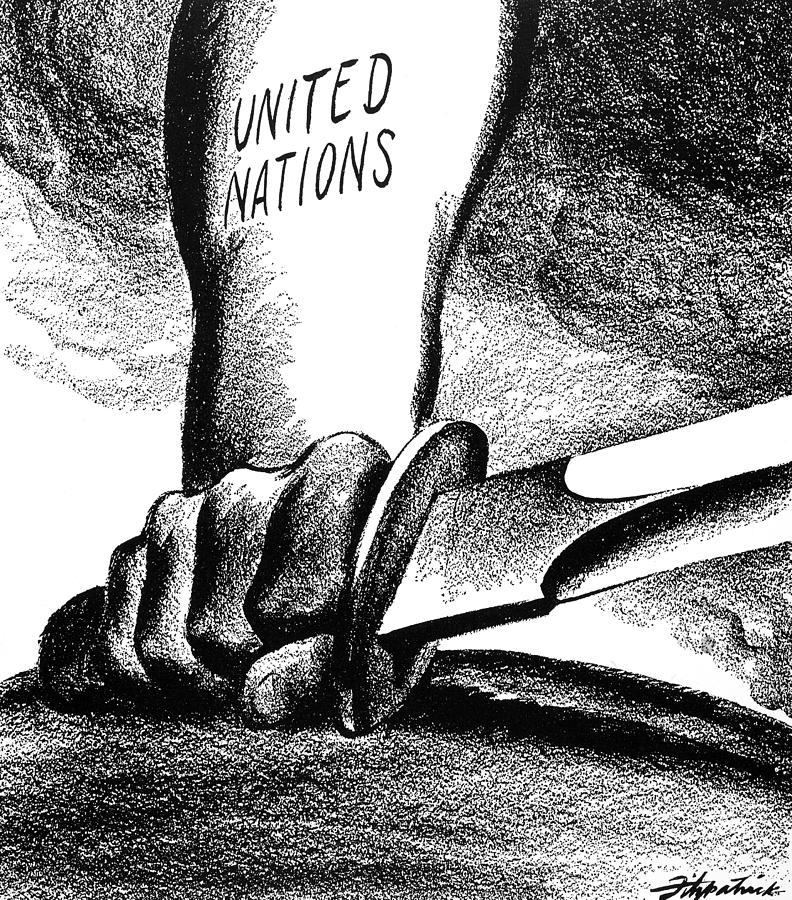 United Nations Cartoon Zzz