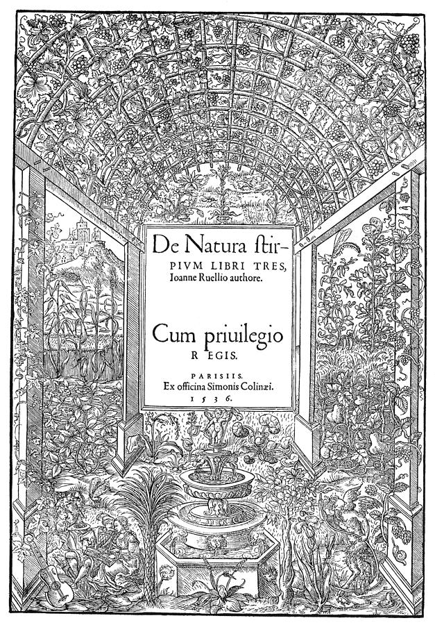 Book Painting - Cartouches, 1536 by Granger