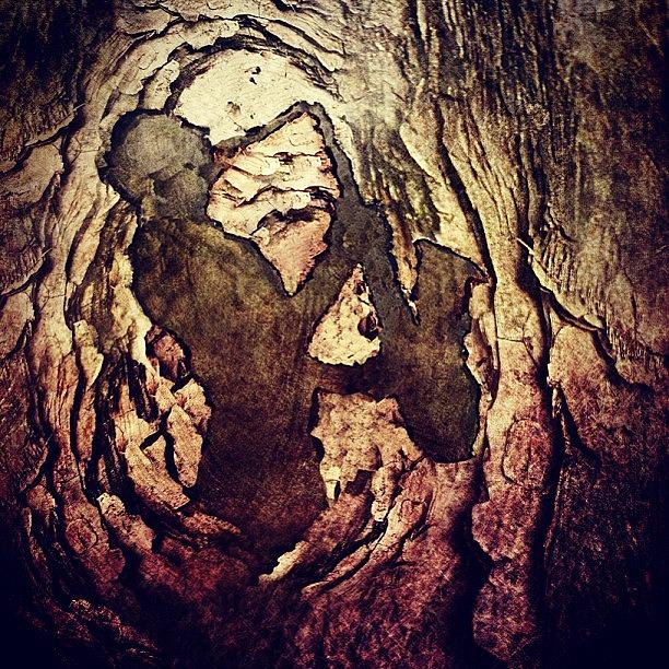 Jazz Photograph - Carved Jazzer #jazz #tree #carved #wood by Pedro Ribeiro