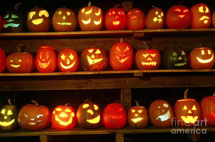 Carved Pumpkins Photograph by Richard T Nowitz
