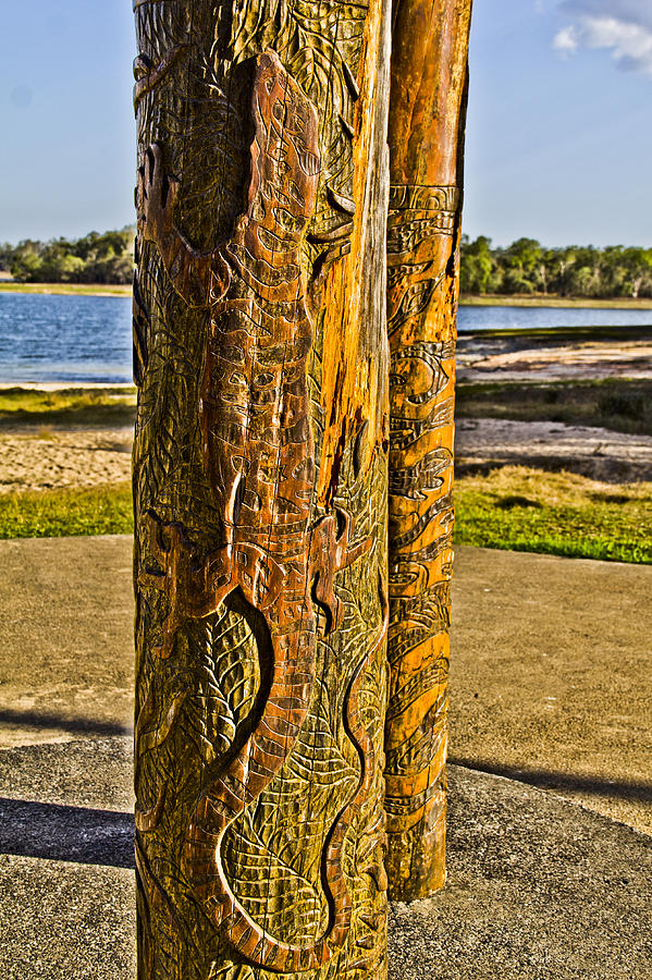 Carved Tree trunk Photograph by Debbie Cundy
