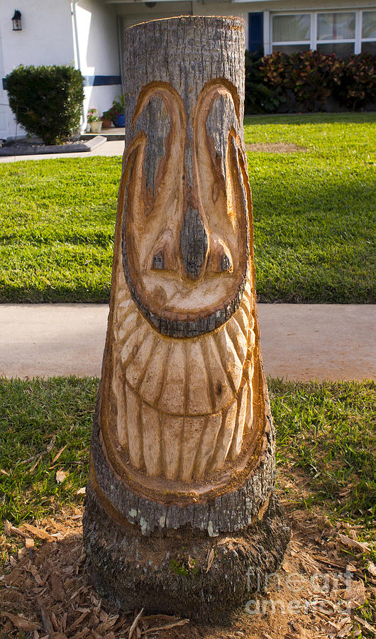 Carving A Happy Tiki From A Palm Tree Stump Photograph by 