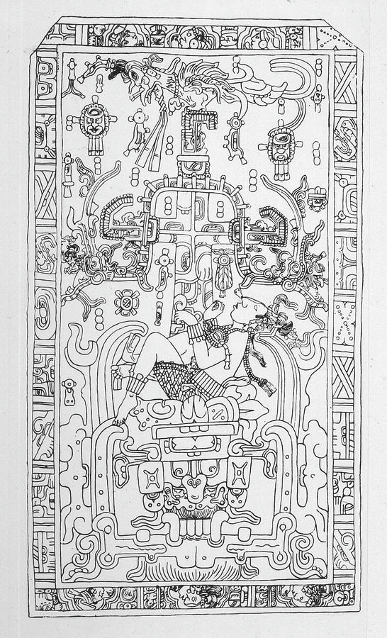 Mayan Drawing - Carving At Palenque, Mexico,  Which by Mary Evans Picture Library