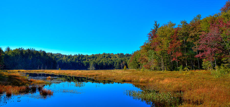 Cary Lake in Early Autumn Photograph by David Patterson