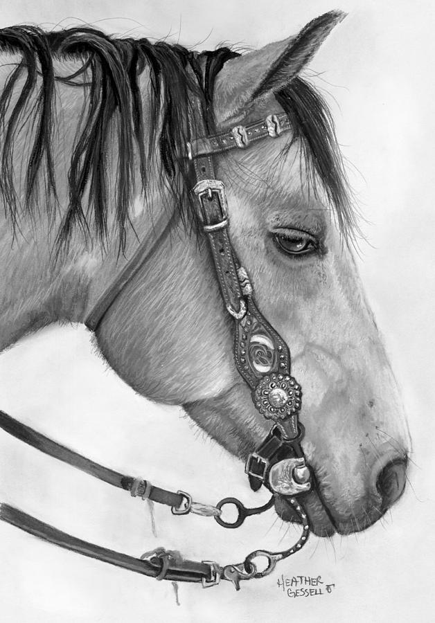 Horse Drawing - Casa by Heather Gessell