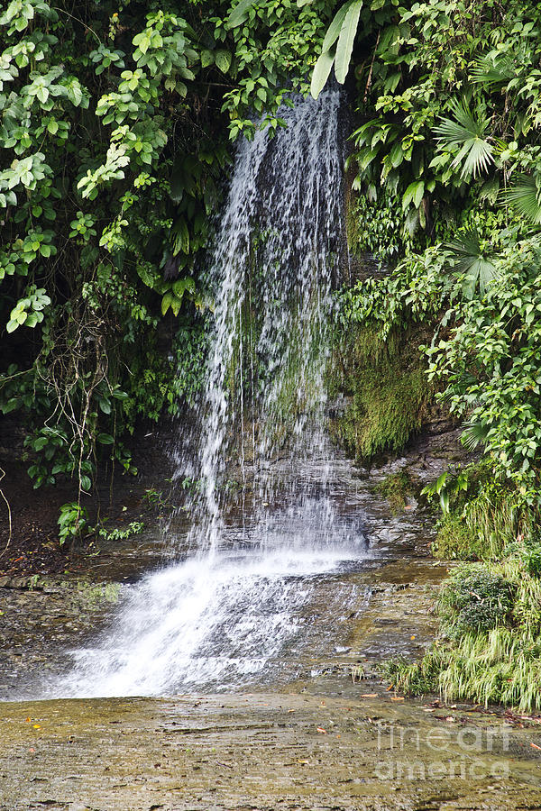 Waterfall Photograph - Cascada Pequena by Kathy McClure
