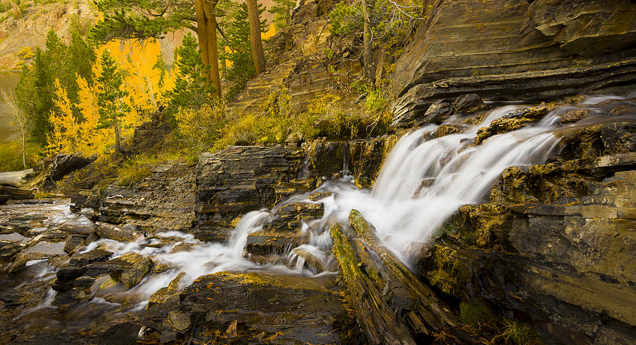 Cascade and Fall Colors at Virginia Lakes Photograph by Joe Doherty