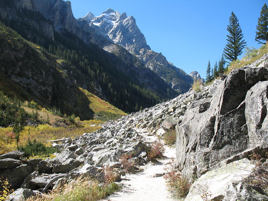 Cascade Canyon trail in Grand Teton NP Wyoming Photograph by Toni and Rene Maggio