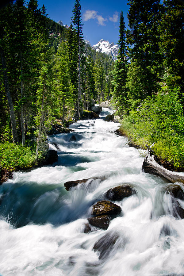 Cascade Creek to Hidden Falls Photograph by Michael Ash