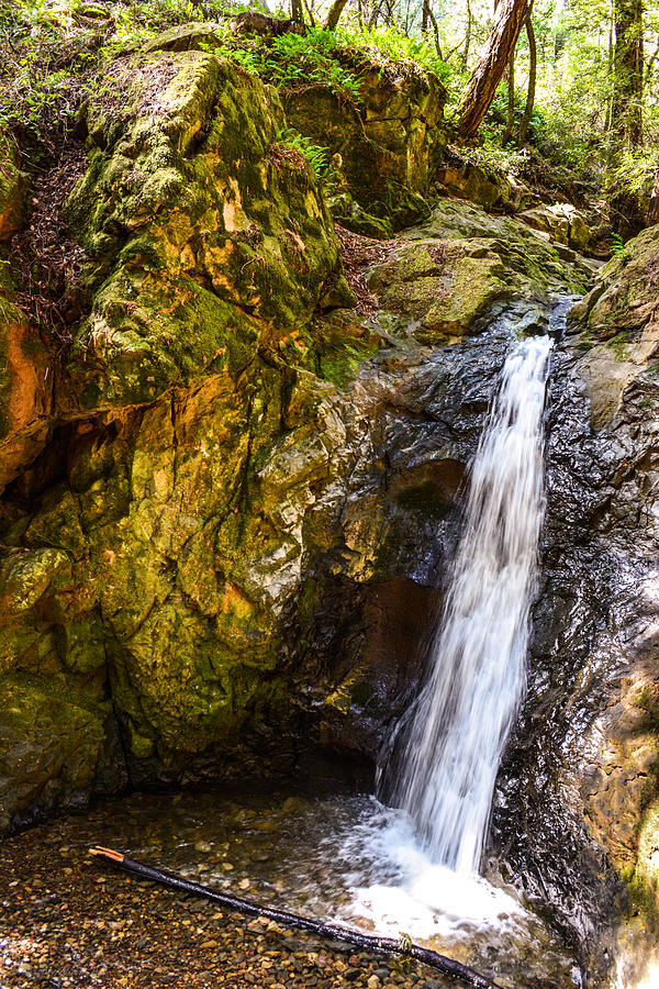 Nature Photograph - Cascade Falls by Brian Tada