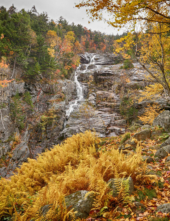 Cascade Falls New Hampshire Photograph by Jack Nevitt