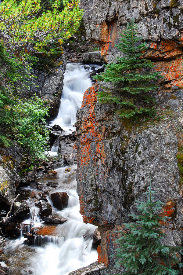 Cascade Falls Photograph by Tracy Smith Cascade Falls Photograph by Tracy Smith