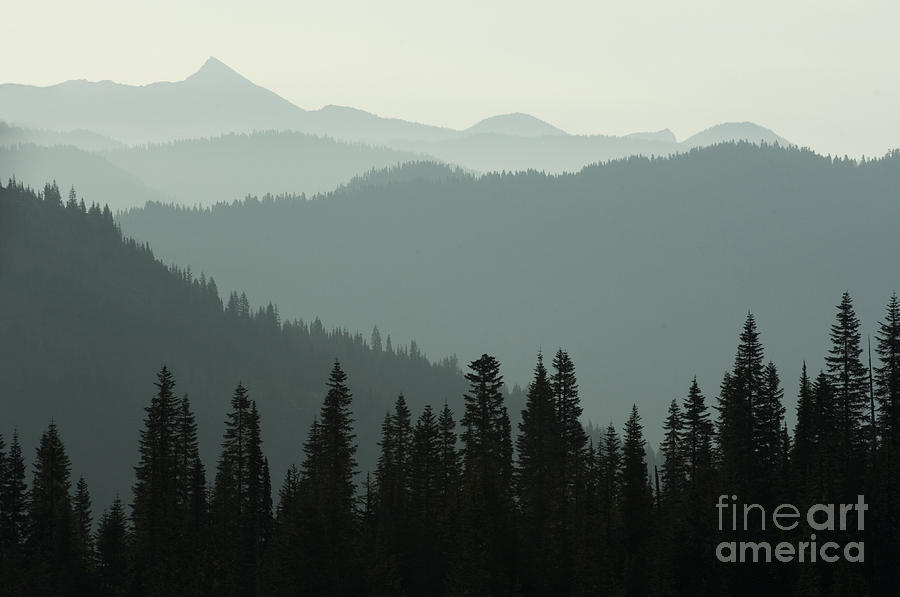 Cascade Mountains Photograph by John Shaw