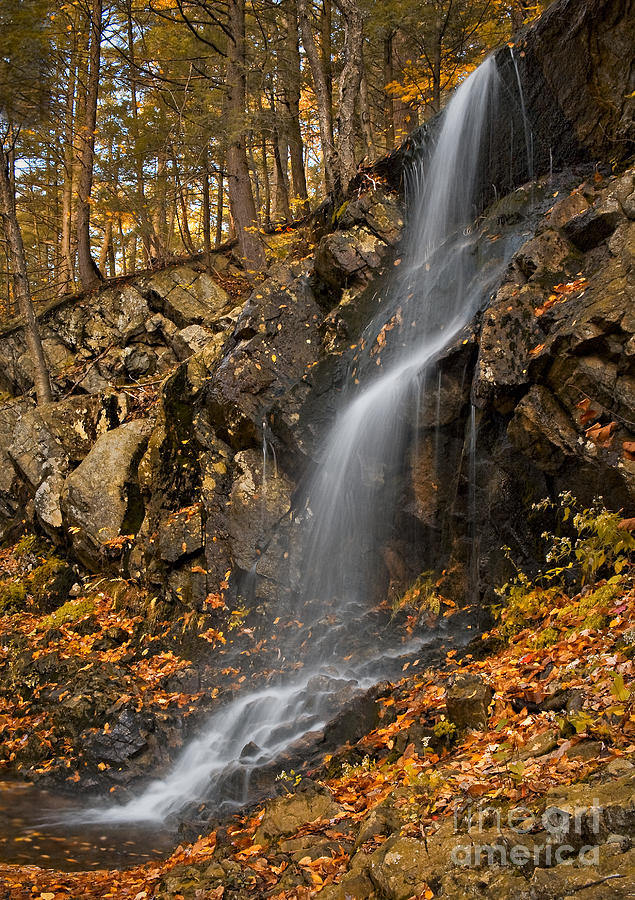 Waterfall Photograph - Cascade by Susan Candelario