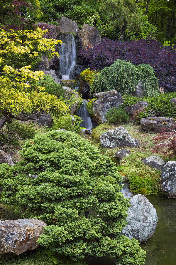 San Francisco Photograph - Cascade Waterfall - Japanese Tea Garden by Adam Romanowicz