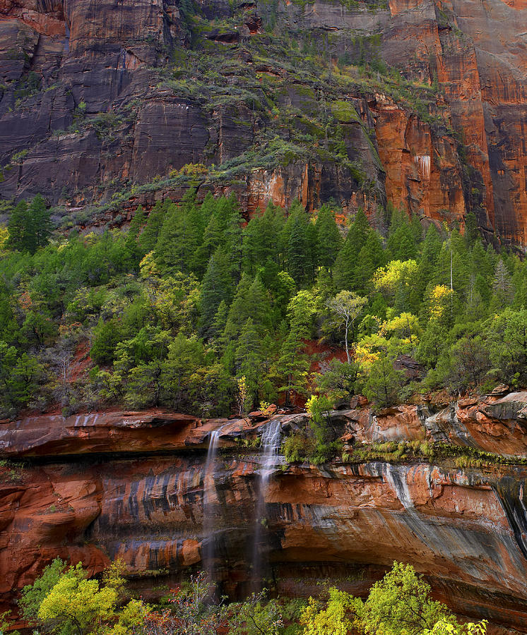 Cascades At Emerald Pools Zion Np Utah Photograph by Tim Fitzharris