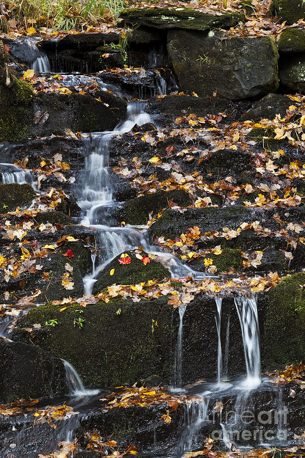 Cascading Brook In Autumn Photograph by Alan L Graham