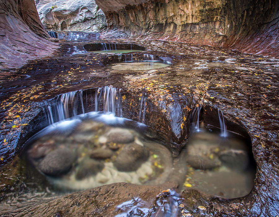 Cascading pools inside the Subway Zion Photograph by Pierre Leclerc Photography