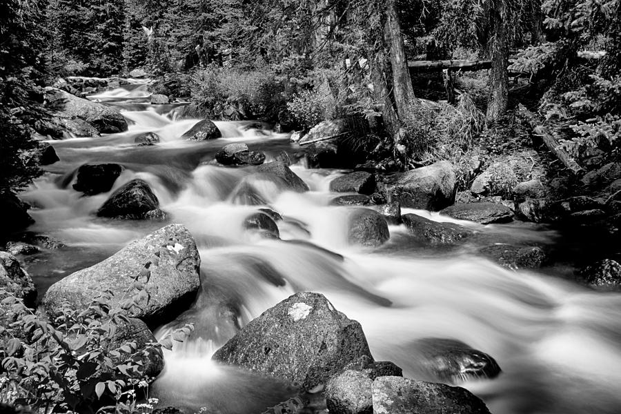 Cascading Rocky Mountain Forest Creek BW Photograph by James BO Insogna