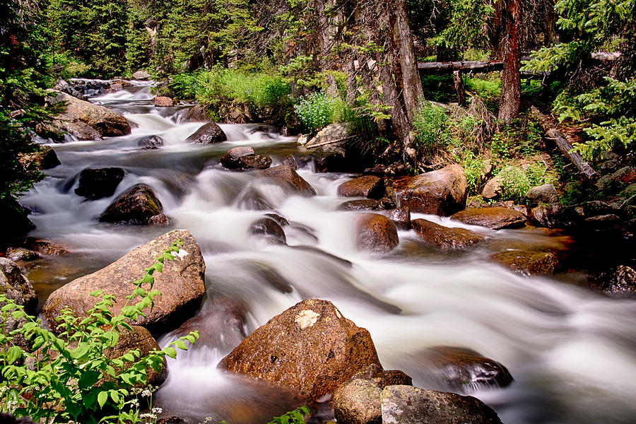 Cascading Rocky Mountain Forest Creek Photograph by James BO Insogna