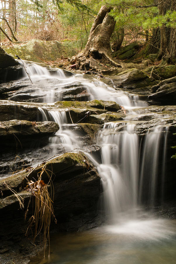 Waterfall Photograph - Cascading Waterfall and Stump 1 by Douglas Barnett