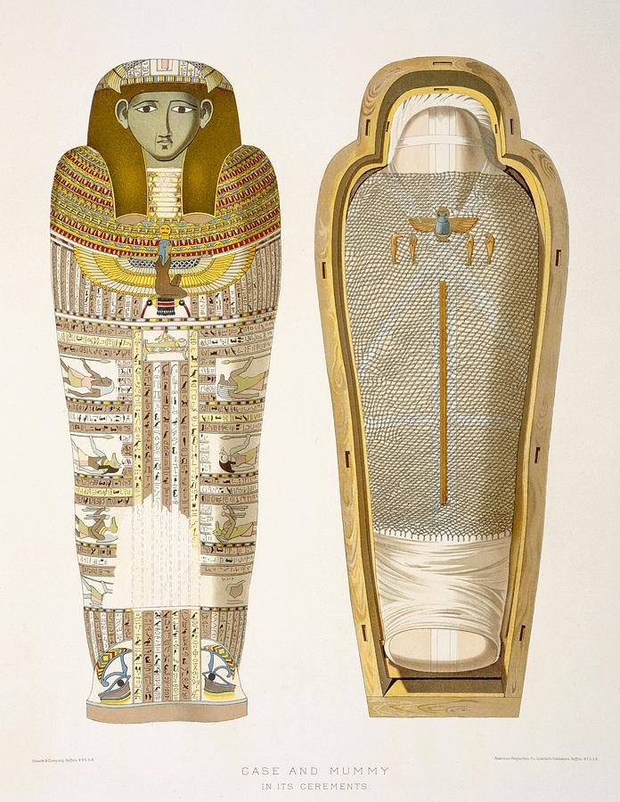 Mummy Drawing - Case And Mummy In Its Cerements by American School