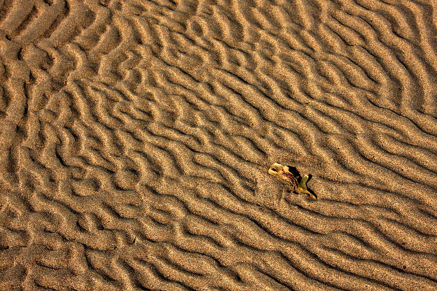 Cashen Sand Ripples Photograph by Mark Callanan