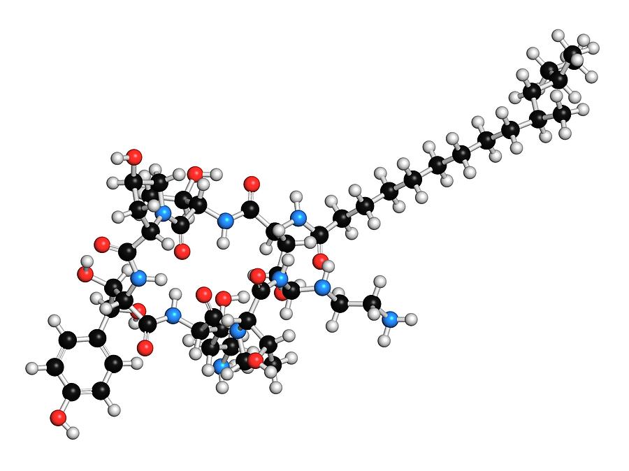 Caspofungin Antifungal Drug Molecule Photograph By Molekuul 4832