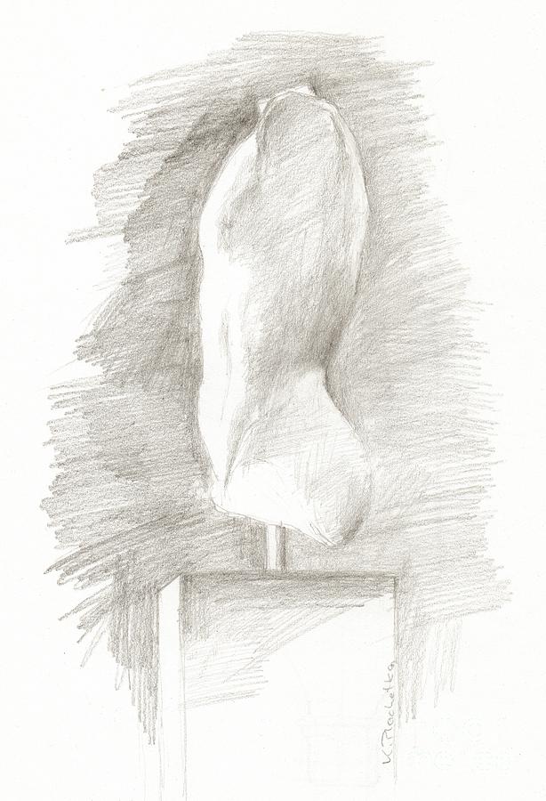 Ancient sculpture torso study Drawing by Karina Plachetka