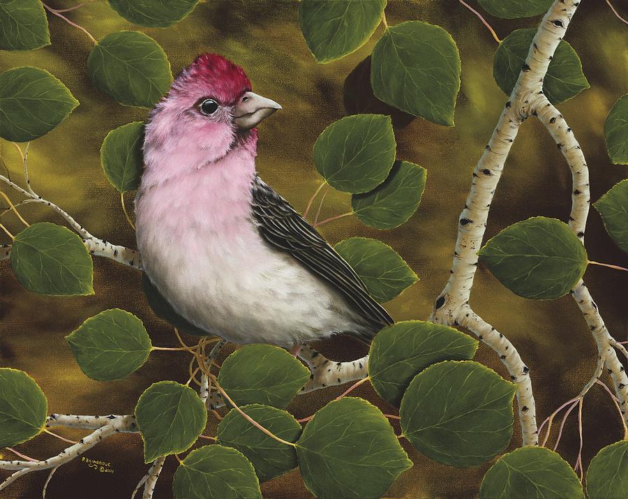 Cassins Finch Painting by Rick Bainbridge
